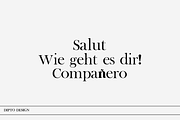 Clari- A fashionable font, a Serif Font by Dipto design (Thumbnail 5 of 6)
