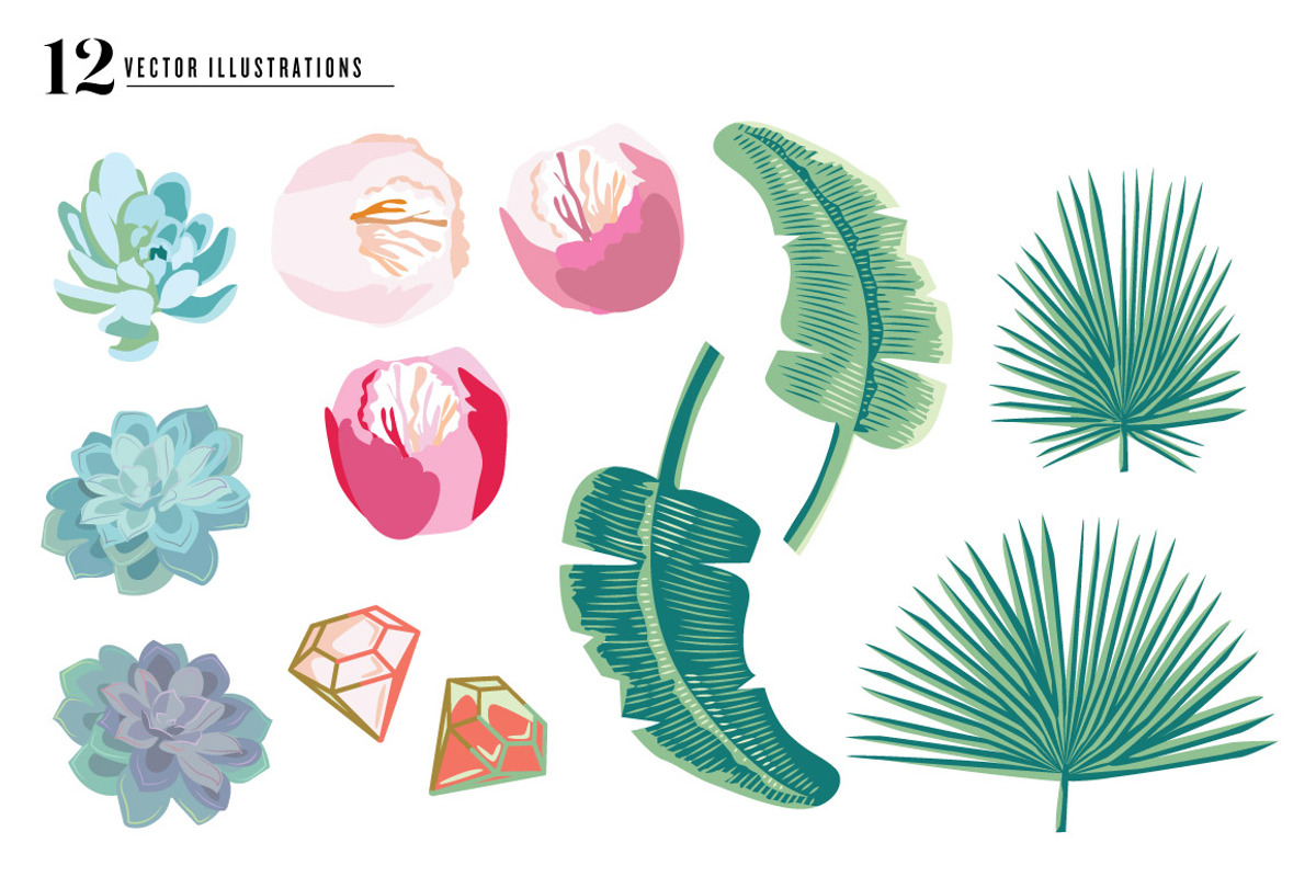 SALE! Palm Succulent Illustrations, an Illustration by Josty (Photo 3 of 7)