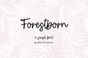 Forestborn Script Font, a Handwritten Font by Beck McCormick (Thumbnail 1 of 10)