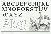Reusco - Display Typeface, a Serif Font by tebaltipislab (Thumbnail 4 of 15)