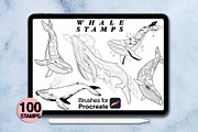 100 procreate whale stamps, a Brush Add-On by Arts For Peace (Thumbnail 6 of 9)