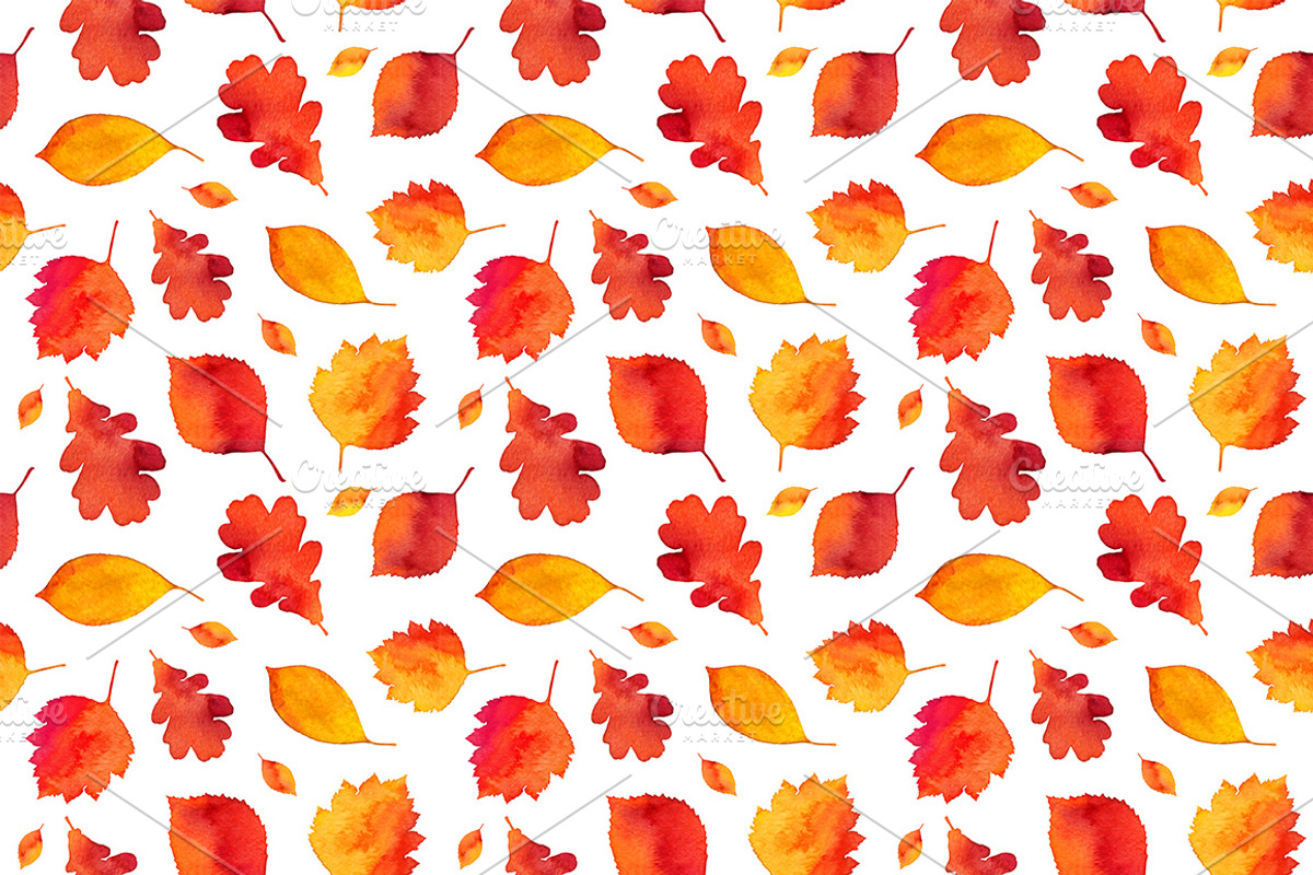 15 Watercolor autumn elements, a Pattern Graphic by Art of Sun (Photo 5 of 5)