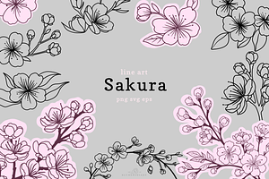 Sakura Cherry Blossom Line Art, a Seasonal Illustration by Blumensdiary