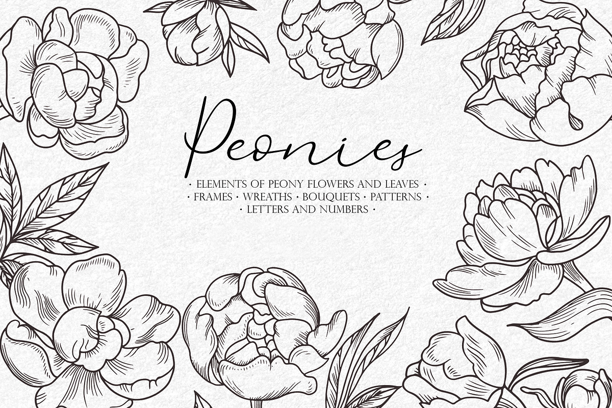 Peonies Line Art SVG, AI, EPS, PNG, a Decorative Illustration by InstaDesignPro (Photo 1 of 12)