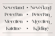 Rossile Serif Font, a Serif Font by Ermedia Studio (Thumbnail 2 of 11)