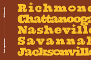Wildcards, a Slab Serif Font by Midnight Grim (Thumbnail 2 of 7)
