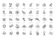 Set of Flowers and Herbs Icons, a Healthcare Illustration by Tettygreen (Thumbnail 2 of 4)