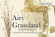 Airy Grassland — Thistle & Burr Stud, an Object Graphic by Aga Silva (Thumbnail 3 of 4)