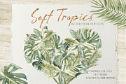 Soft Tropics Watercolor Cliparts, a Decorative Illustration by Cat In Colour (Thumbnail 1 of 5)