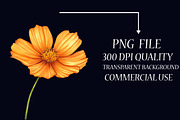 Fall Flowers Clipart, an Illustration by Libby Wishes (Thumbnail 5 of 6)