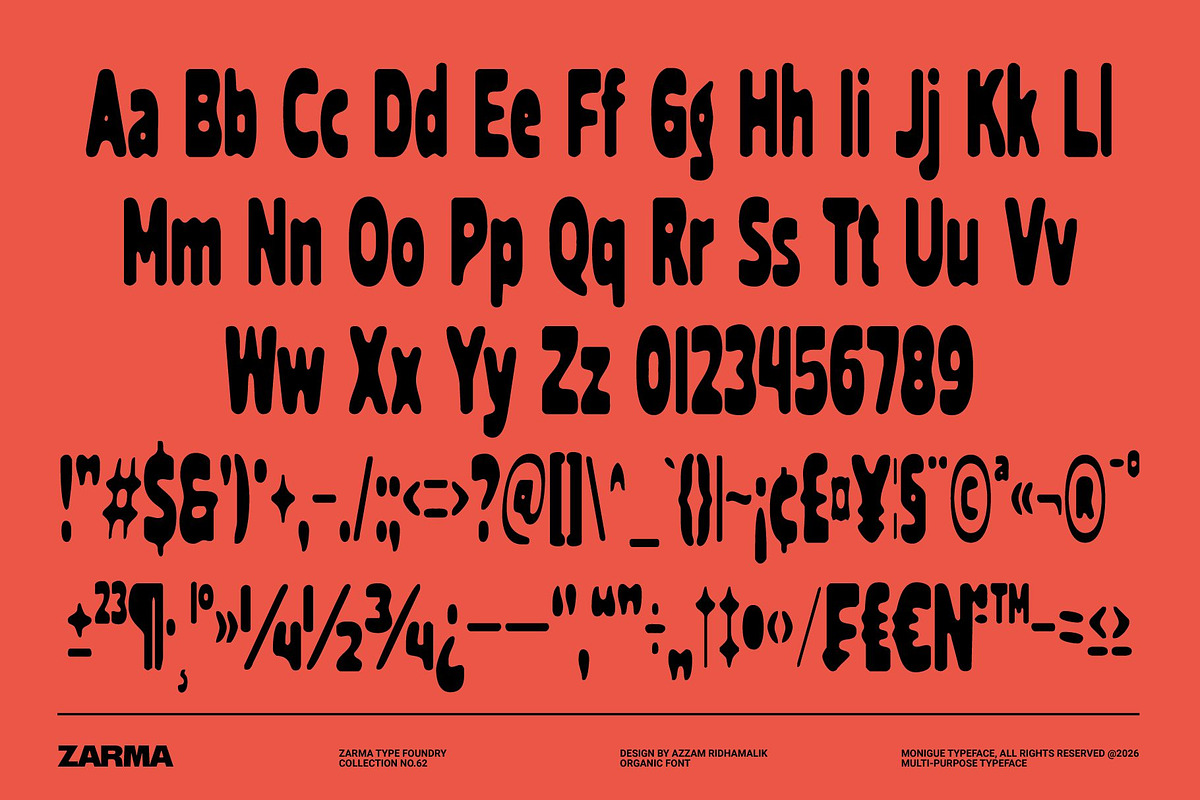 Stretchy Organic - Compressed Font, a Sans Serif Font by Zarma Type (Photo 10 of 10)