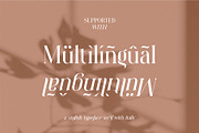 Magnity Style Serif Typeface Font, a Serif Font by Dylla_studio (Thumbnail 15 of 16)