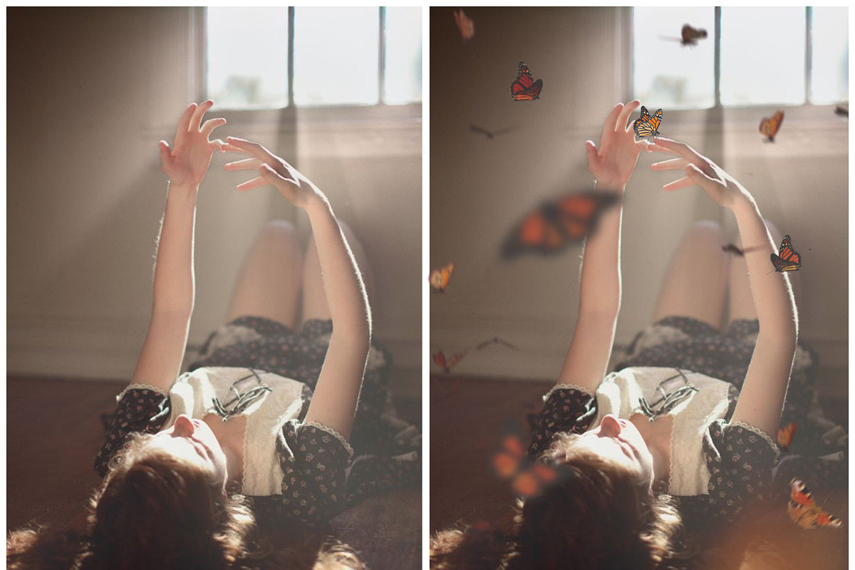Butterfly PNG photoshop overlays, a Plug-in Add-On by ZephyrDigital (Photo 2 of 6)