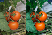 Fresh & Vibrant Food Presets, an Action Add-On by thepslr (Thumbnail 5 of 10)