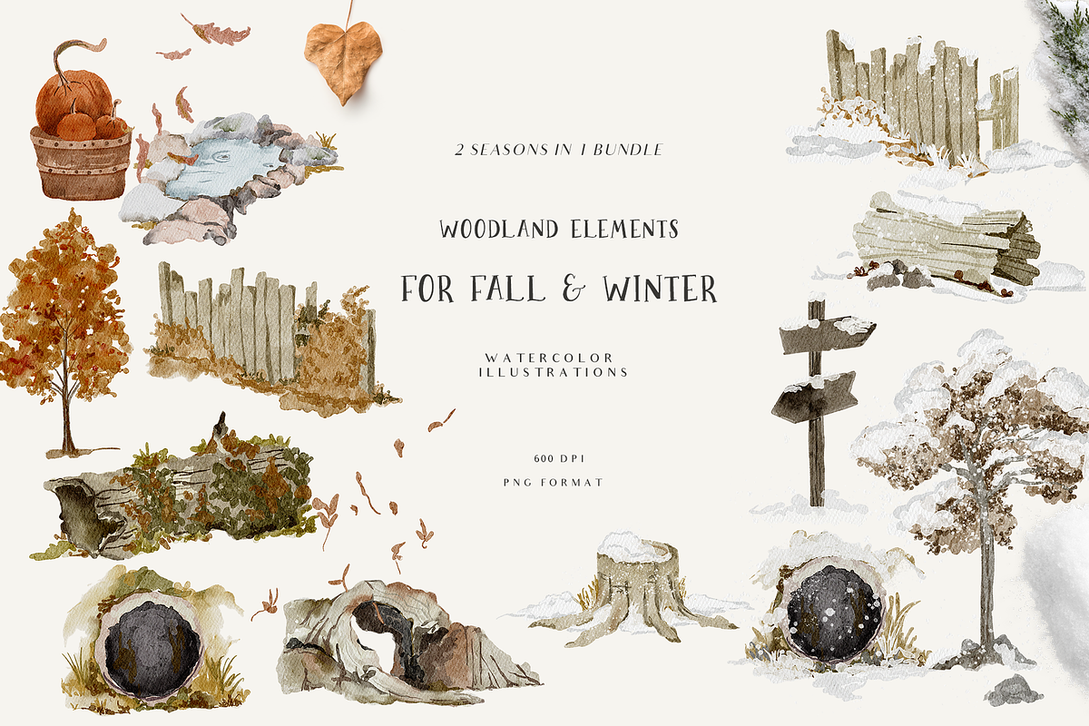 Fall & Winter Woodland Animals set, an Animal Illustration by Grace Noboa Illustrations (Photo 10 of 17)
