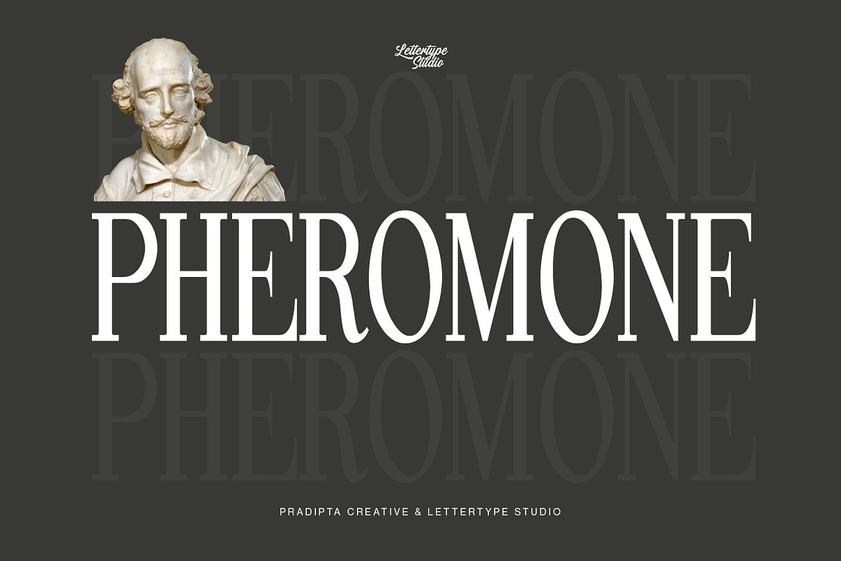 Pheromone | Modern Classic Serif, a Serif Font by Lettertype Studio (Photo 3 of 20)