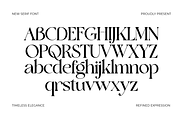 Askinо–Elegant Editorial Serif Font, a Serif Font by MaikoHatta (Thumbnail 3 of 8)