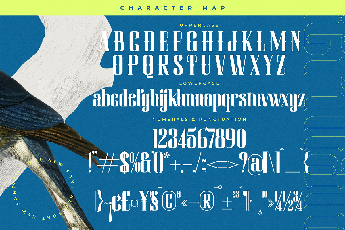 Hermatic - Modern Serif Display, a Script Font by timelesstype.co (Photo 18 of 20)