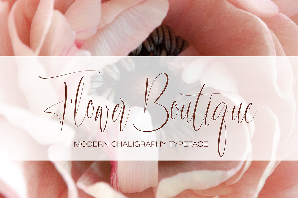 Solirenta Internal, a Script Font by pineungtype (Photo 3 of 10)