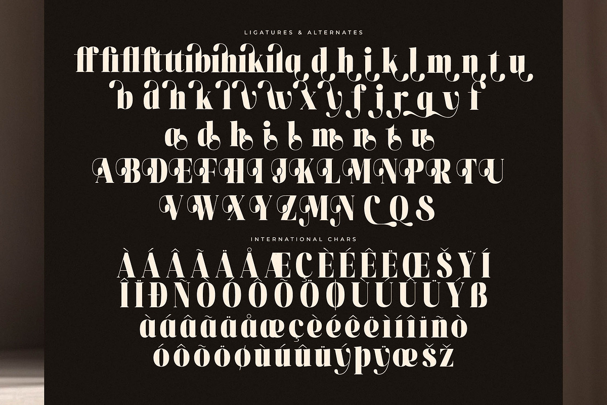 Magilne Modern Alternate Serif, a Serif Font by Letterena Studios (Photo 14 of 15)