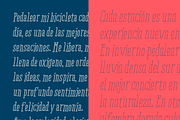 Ride my Bike Serif, a Serif Font by Latinotype (Thumbnail 2 of 5)