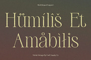 Febila Vintage, a Serif Font by Craft Supply Co. (Thumbnail 3 of 8)