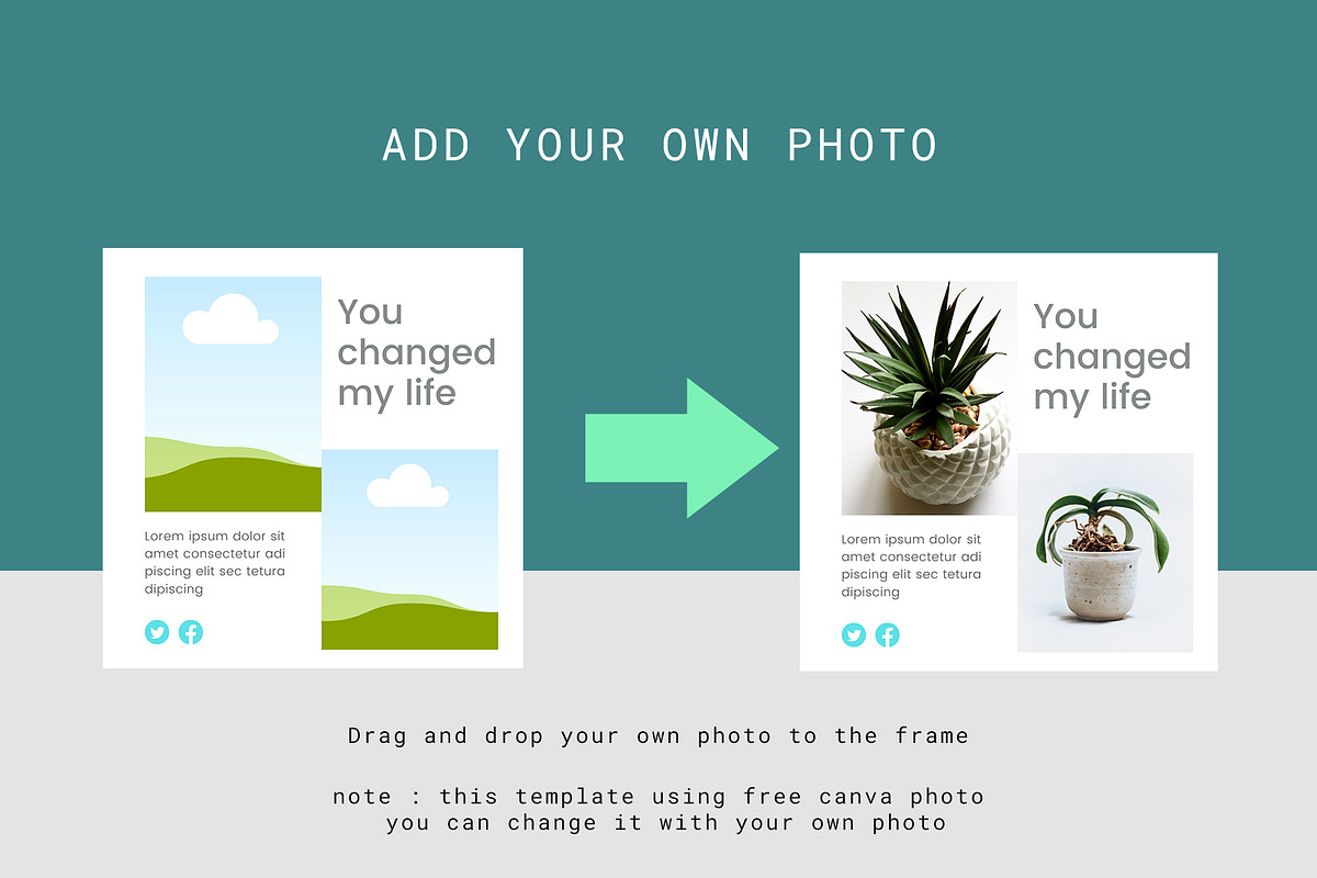 Canva Instagram Template Plant, a Social Media Template by Lythcreative (Photo 5 of 6)
