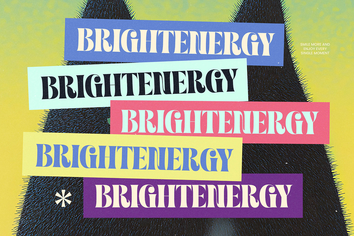 Fresh Kinetic Bold Display Serif, a Serif Font by timelesstype.co (Photo 13 of 20)