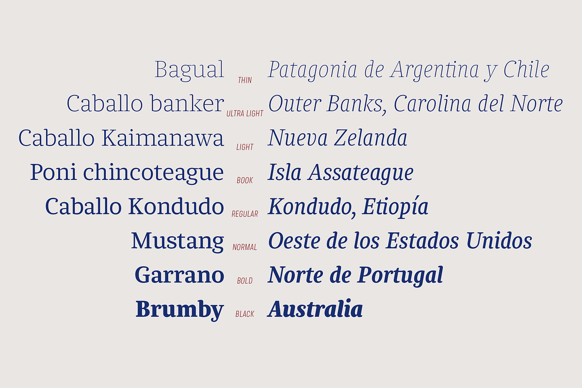 Chucara next, a Serif Font by Letritas (Photo 7 of 14)