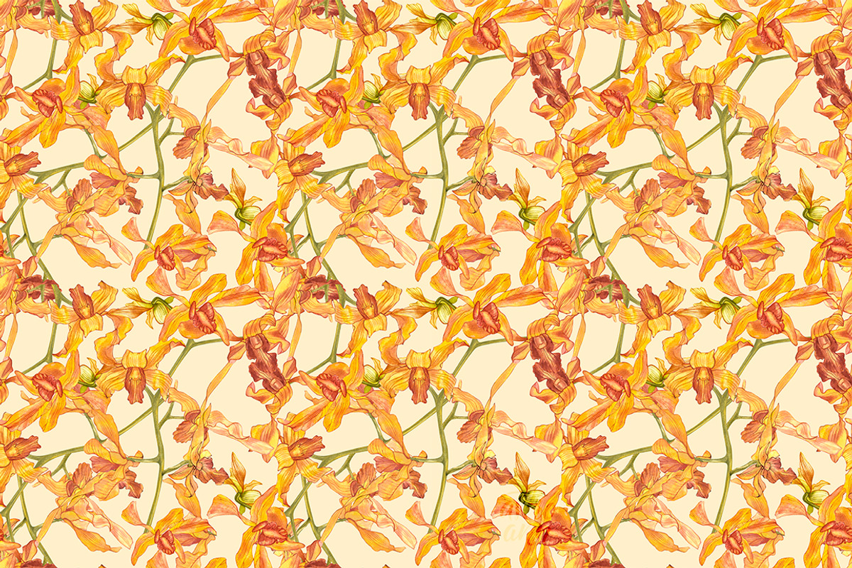 Orchids branch in botanical style, a Decorative Illustration by Ann Astro (Photo 9 of 15)