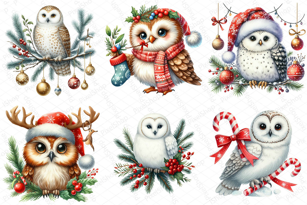 Watercolor Christmas Owl Clipart, an Illustration by DreamPrint404 (Photo 3 of 6)