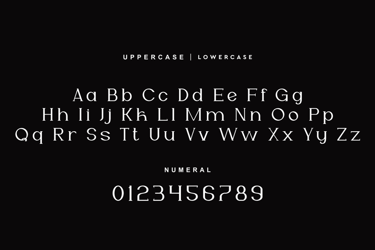 Wefalor - Modern Serif Font, a Script Font by QR Design Studio (Photo 7 of 12)