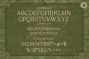 Thane Lantera - Old Press Print, a Serif Font by Setara Langit CreativeStd (Thumbnail 13 of 14)