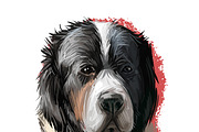 Mastiffs and Pugs 34 PSD Dogs Set, an Animal Illustration by Dneprstock (Thumbnail 3 of 15)