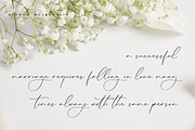 Lillywhite A Beautiful Script Font, a Script Font by Storytype Studio (Thumbnail 5 of 15)