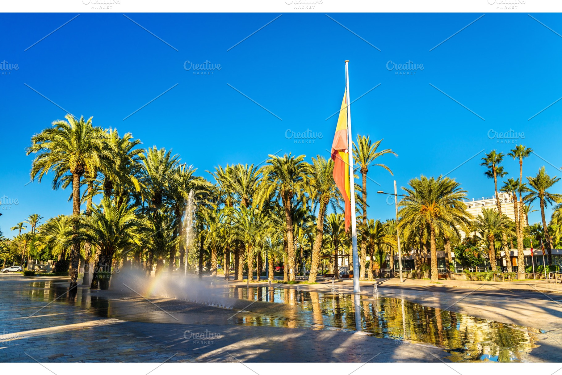 Palmeral of elche spain unesco heritage site featuring spain, elche, and palm, a Nature Photo by Leonid Andronov