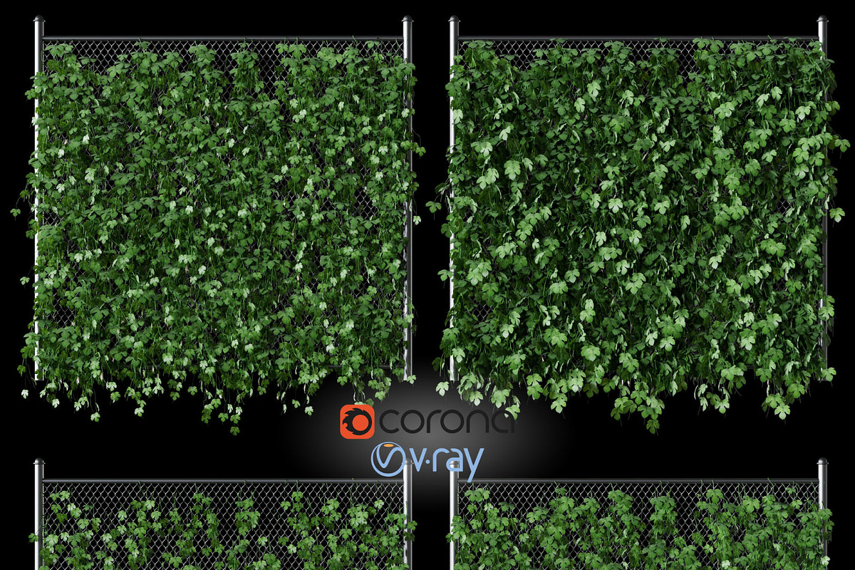 Hop leaves on the fence 3d model, an Architecture 3D Model by rnax (Photo 1 of 4)