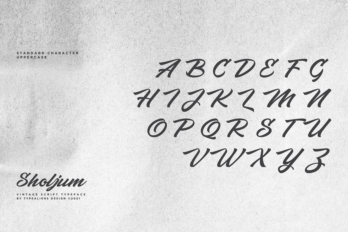 Sholjum, a Script Font by ilhamtaro (Photo 7 of 11)