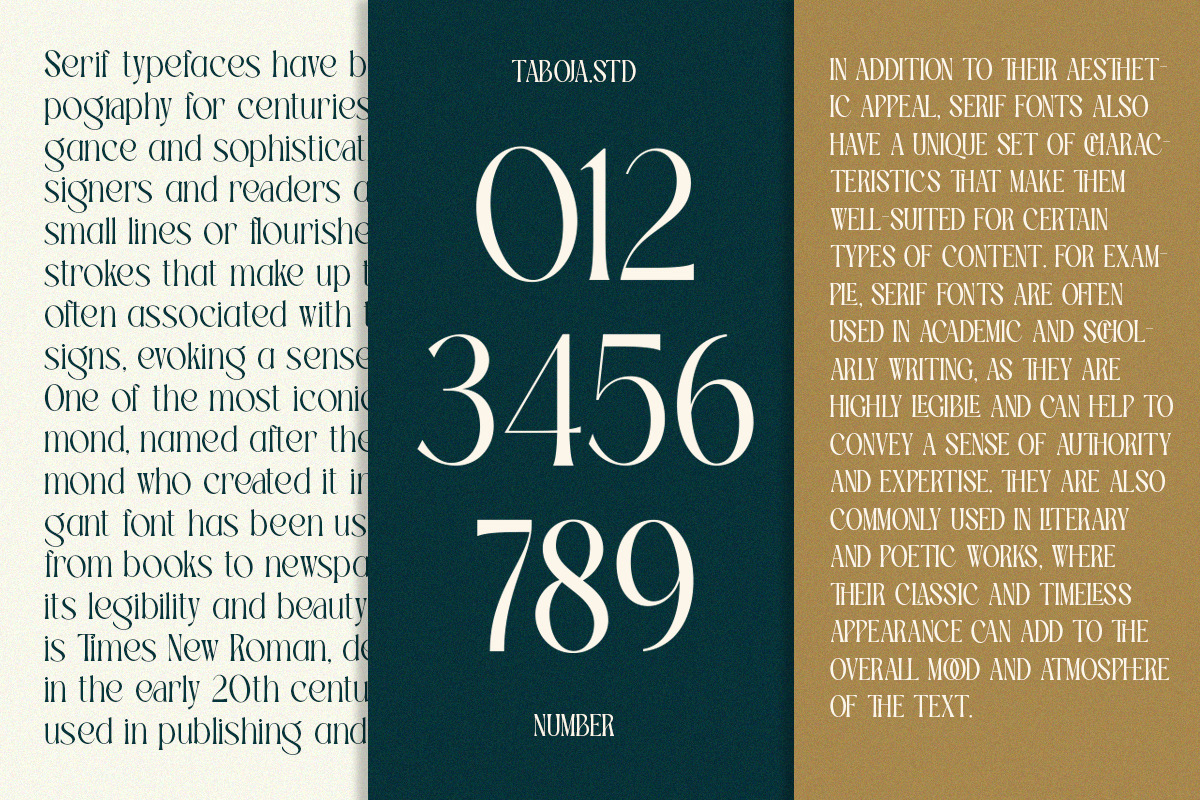 TBJ Palatino Stylish Serif Font, a Serif Font by Taboja Studio (Photo 7 of 10)