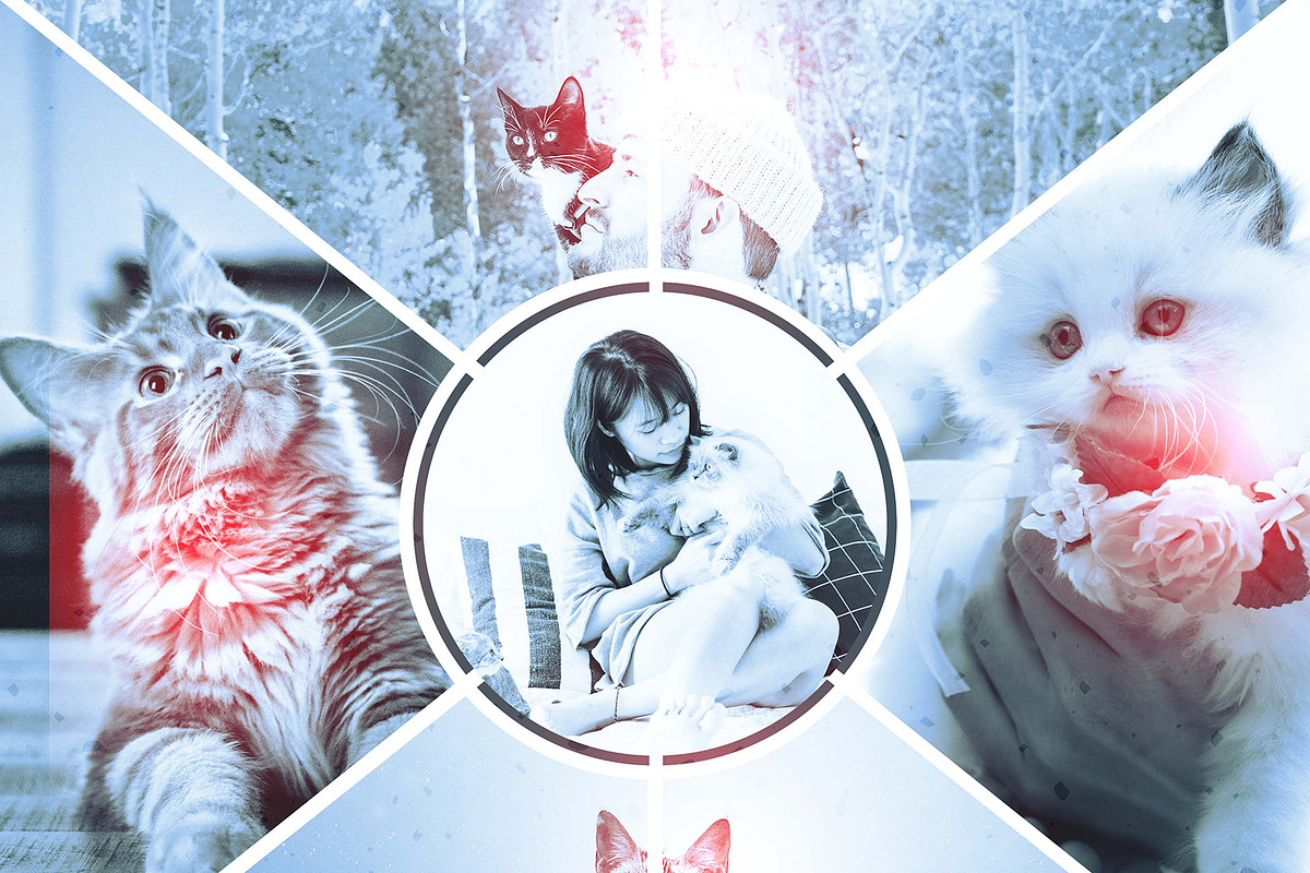 Collage Photo Frame Design Bundle, a Print Template by MRI STUDIO (Photo 5 of 42)
