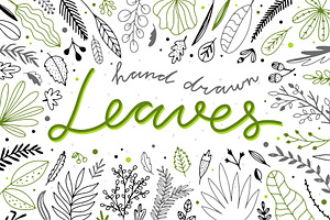 Hand Drawn Leaves