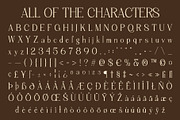 Chavler Disco, a Serif Font by Craft Supply Co. (Thumbnail 8 of 8)