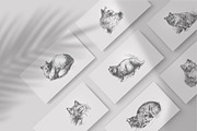 Vintage Bundle 2500+ Free Update, an Animal Illustration by Retro Machine (Thumbnail 79 of 170)