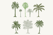 Tropical Vintage Vector Collection, an Animal Illustration by FleurArt (Thumbnail 4 of 7)