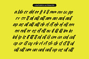 Mirage Factory Bold Brush Font, a Script Font by Letterena Studios Script (Thumbnail 18 of 20)
