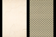 Antique Endpaper Textures, a Texture Graphic by Blue Line Design (Thumbnail 21 of 21)