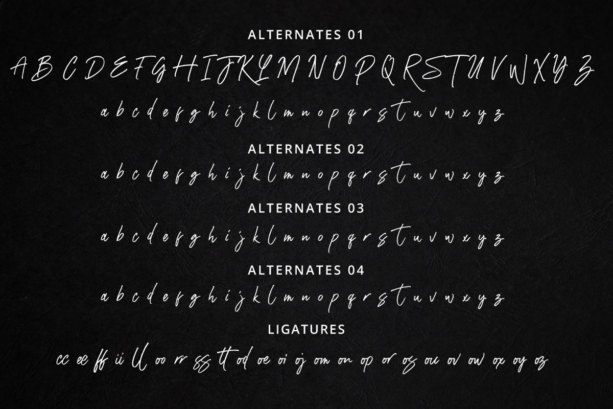 Rasthmon - Brush Font, a Script Font by tebaltipislab (Photo 12 of 13)