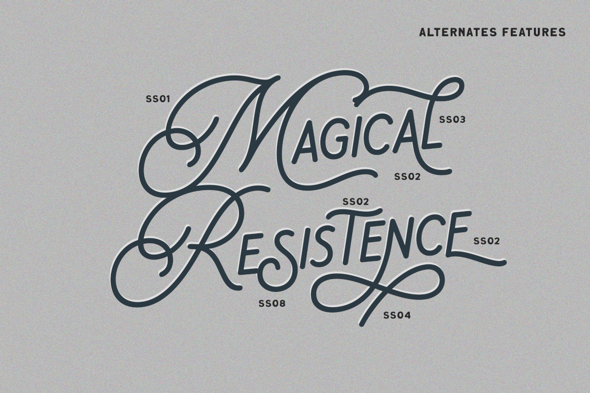 Daily Magnolines - Monoline Typeface, a Handwritten Font by Letterhend Studio (Photo 9 of 9)