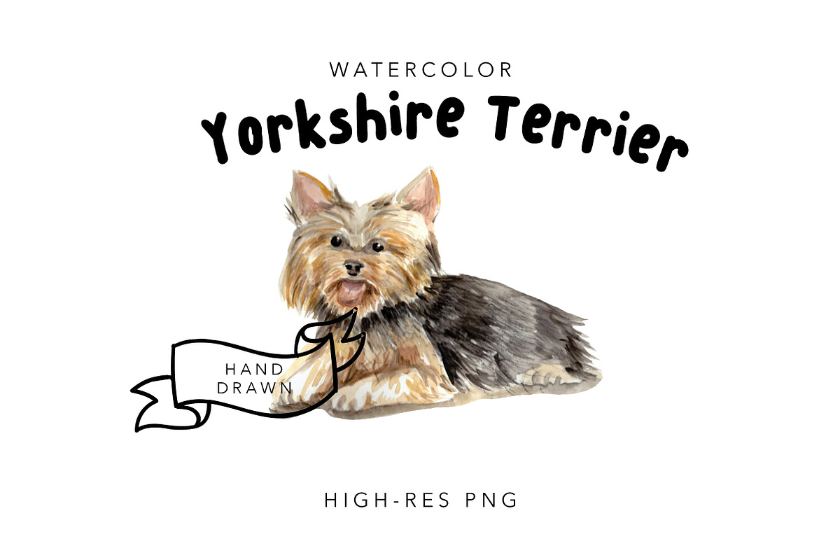 Watercolor Clipart Yorkshire Terrier, an Illustration by MumAndMe (Photo 1 of 2)