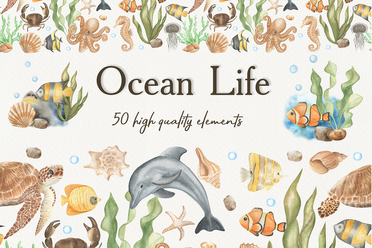 Watercolor ocean life, an Animal Illustration by ViolettaKh (Photo 1 of 9)